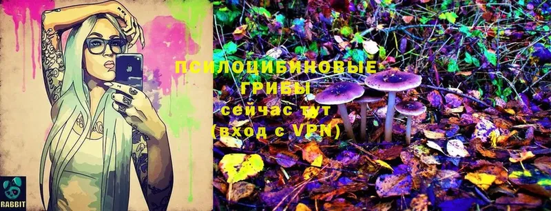 Галлюциногенные грибы Cubensis Кинель